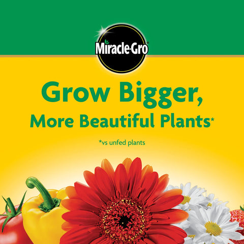 Roses and flowering plants benefit from Miracle-Gro feeding.