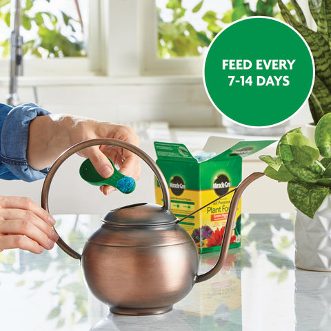 Trees and shrubs nourished with Miracle-Gro Water Soluble Plant Food