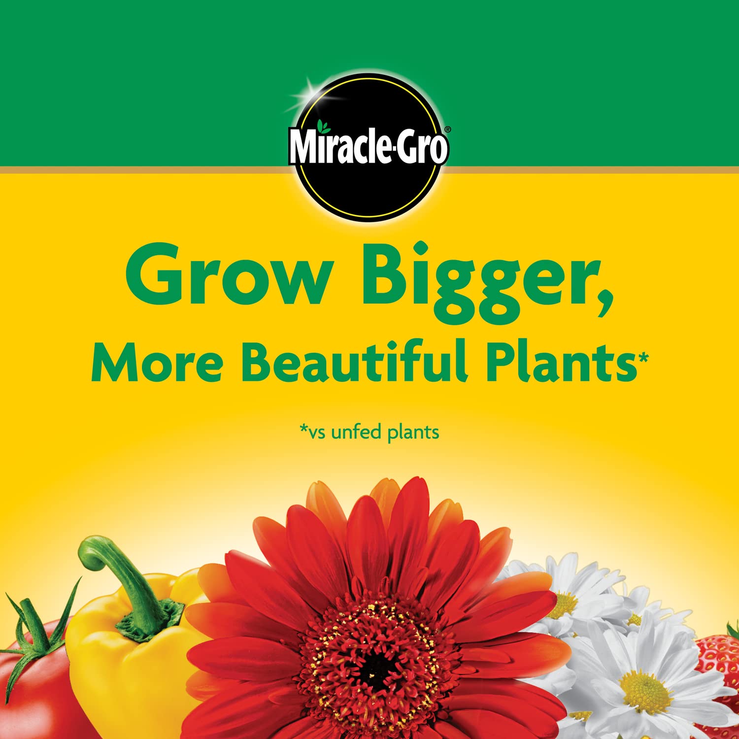 Miracle-Gro keeps flowers and shrubs vibrant after regular feeding.
