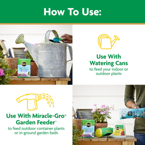 Miracle-Gro Water Soluble formula supports indoor azaleas on shelves