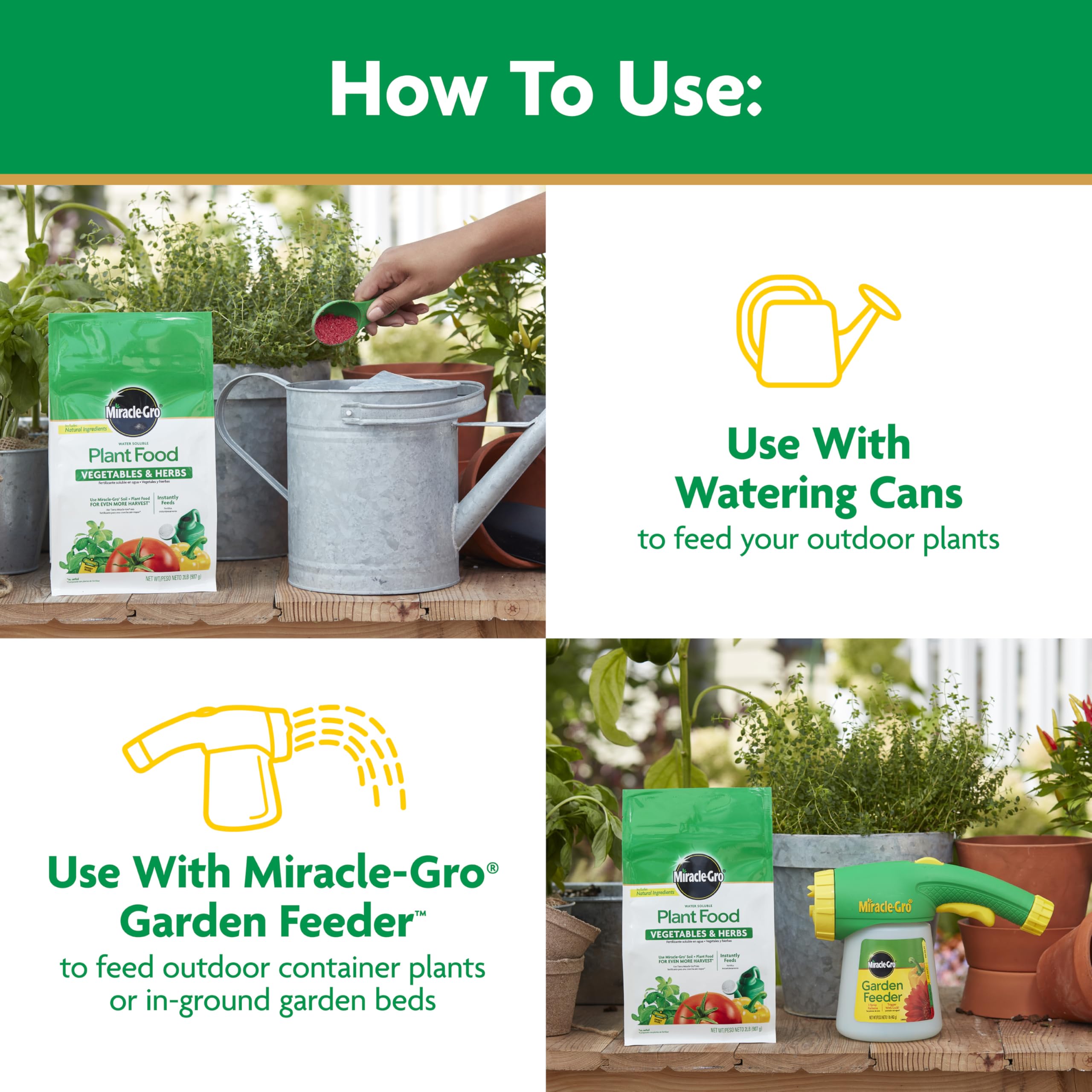 Miracle-Gro dissolving in water, quick, mess-free feeding