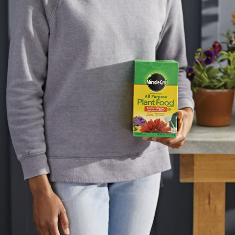 Miracle-Gro plant food dissolving in water illustrates a quick ready-to-feed solution.