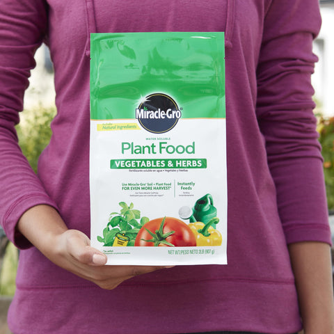 Miracle-Gro Water Soluble Plant Food for peppers, supports steady nutrition