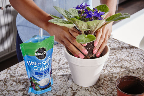 Miracle-Gro Water Storing Crystals close-up with label for straightforward application