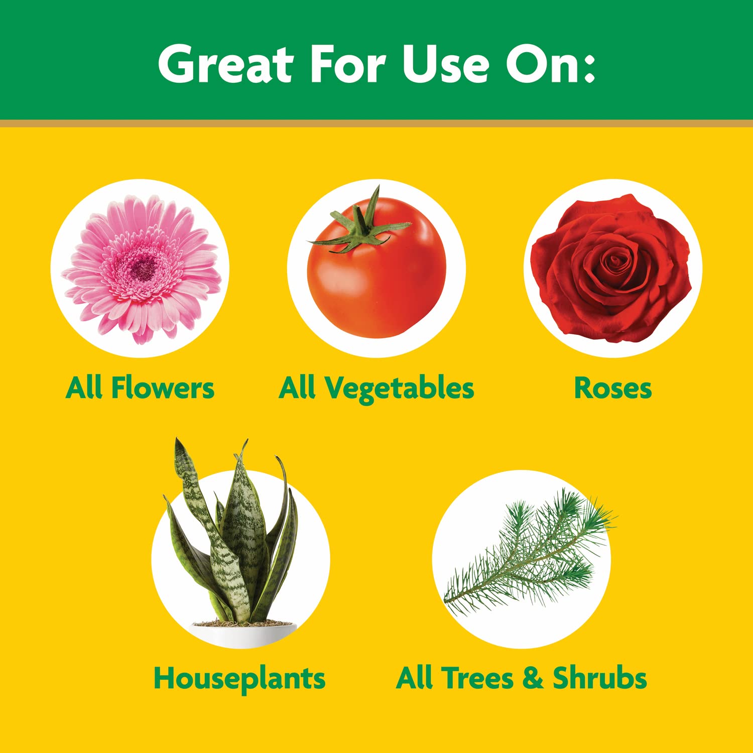 Miracle-Gro watering can used for outdoor garden dilution