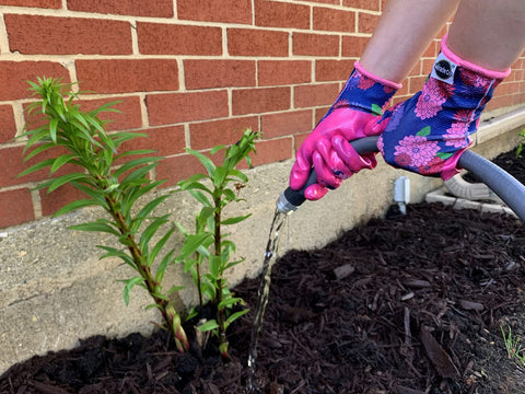 Miracle-Gro 3-pack gloves ready for planting, raking, and potting tasks