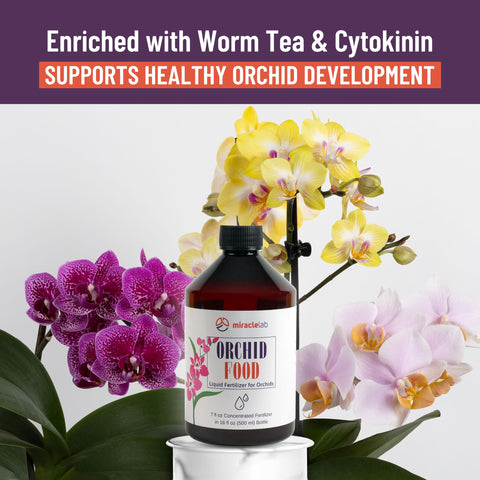 Miracle Lab Liquid Orchid Fertilizer healthy leaves helps sustain green, balanced foliage.