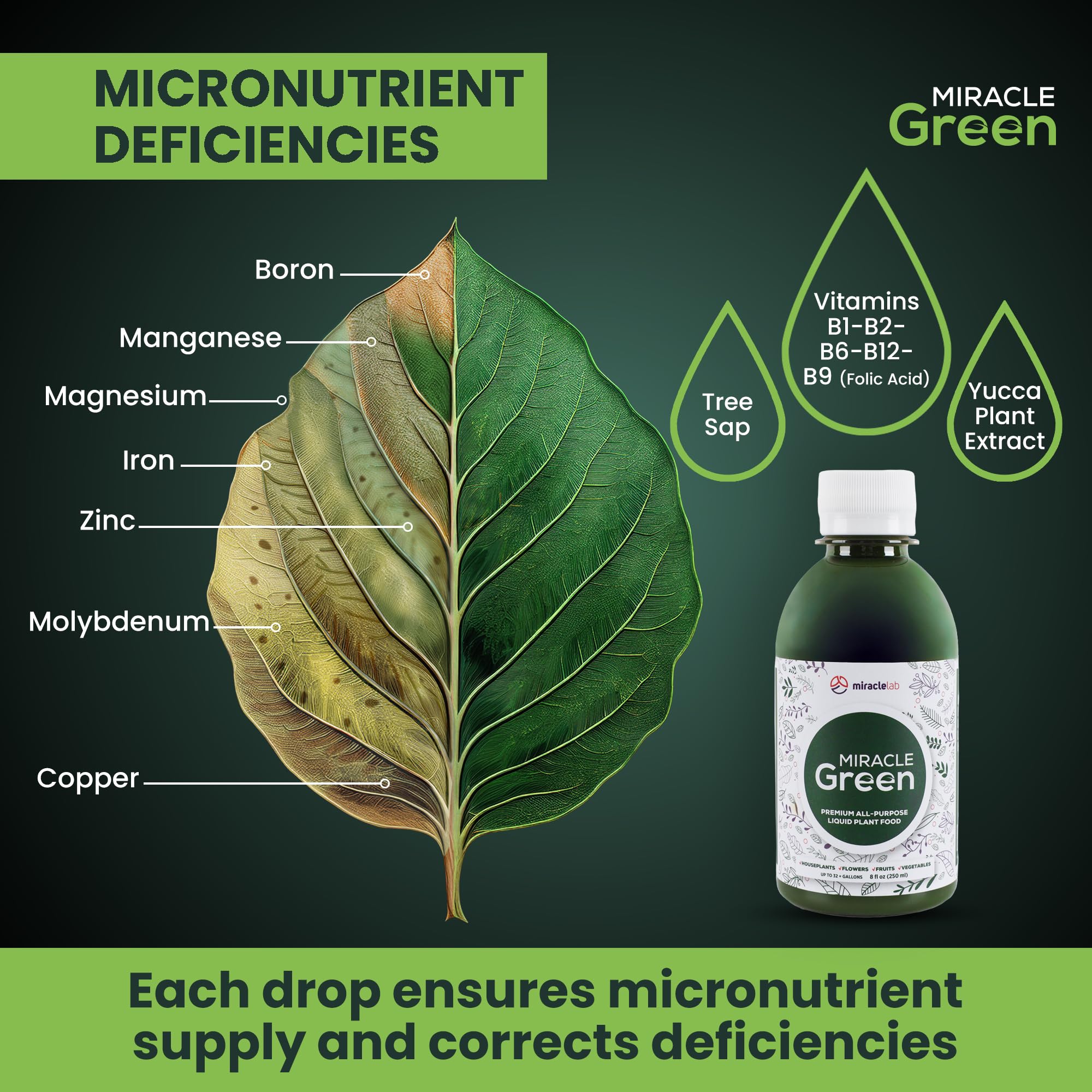 Miracle Green foliar spray on leaves shows vibrant green canopy and stress-ready plants