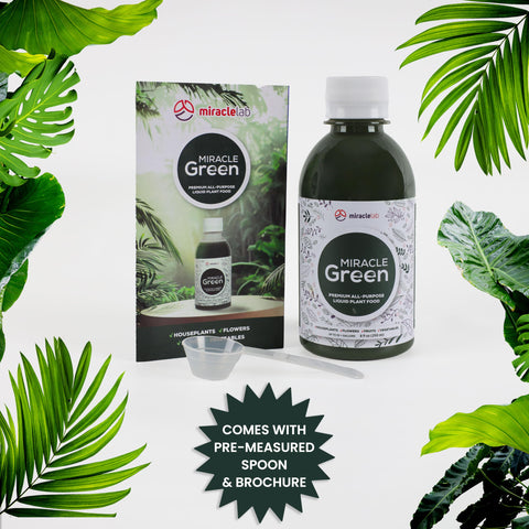 Fruits, flowers, and vegetables benefit from Miracle Green for balanced nutrition