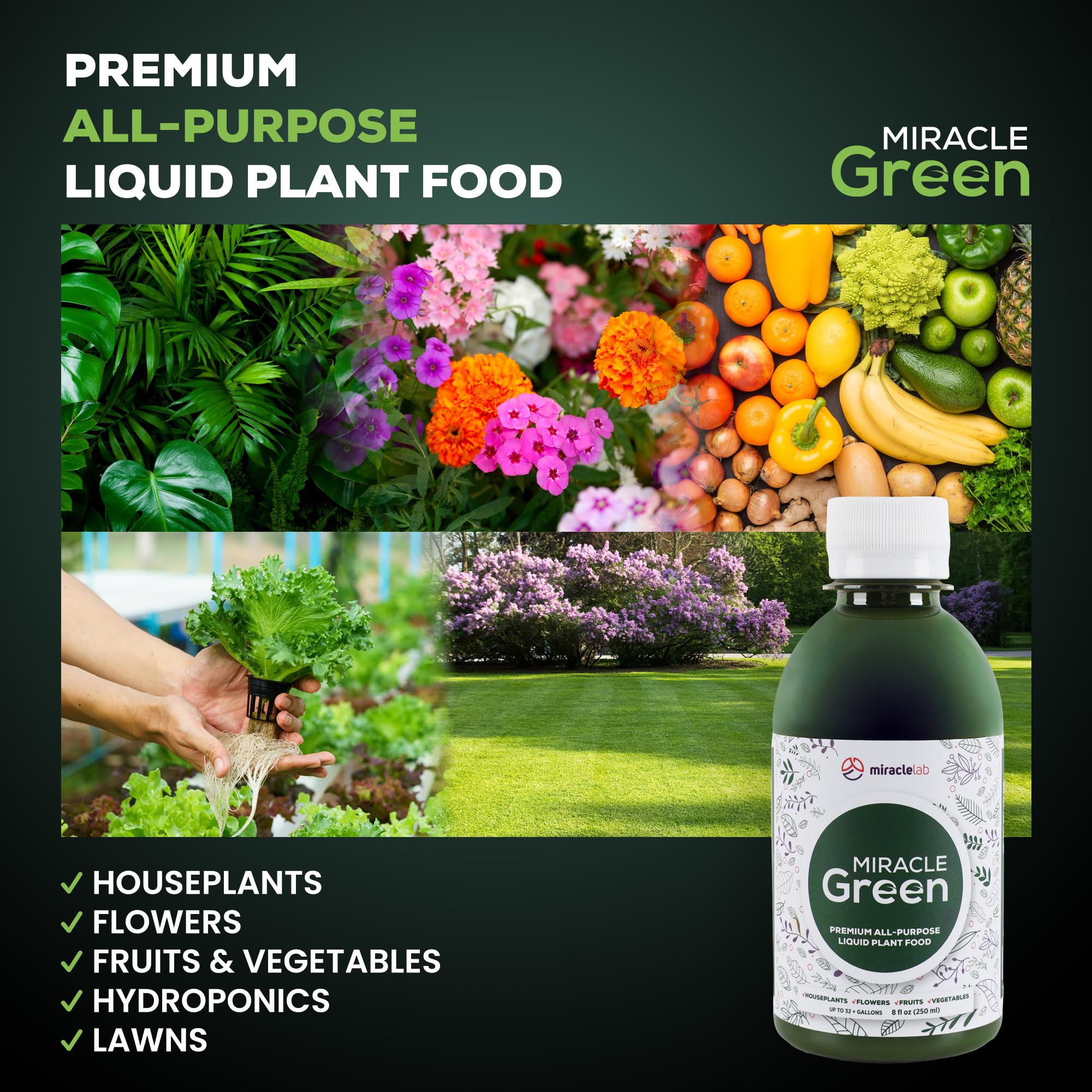 Miracle Green applied to houseplants boosts growth and overall vigor