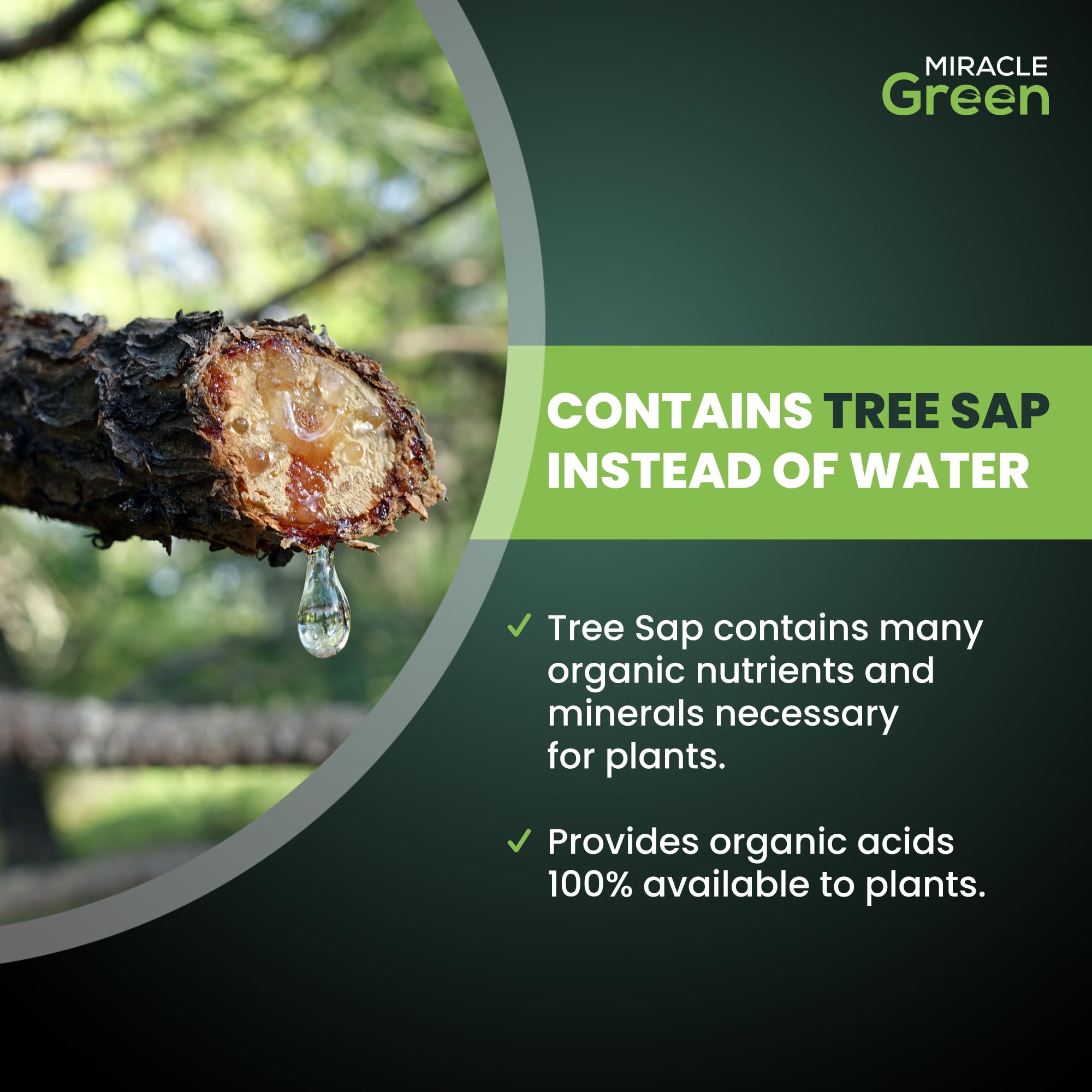 Miracle Green water-dilution mixing demonstrates easy weekly feed for soil, foliar, and hydroponic use