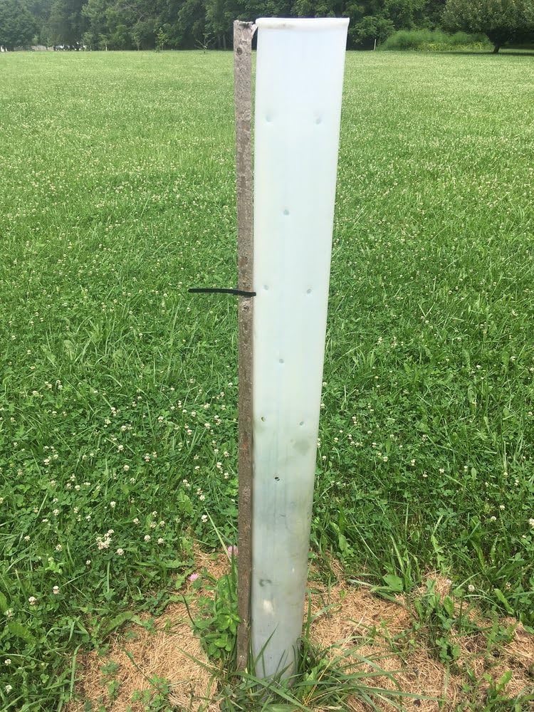 Miracle Tree Tube reusable UV-treated zip ties pre-inserted.