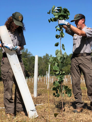 Miracle Tree Tube note: stakes and weed barrier not included; plan accordingly.