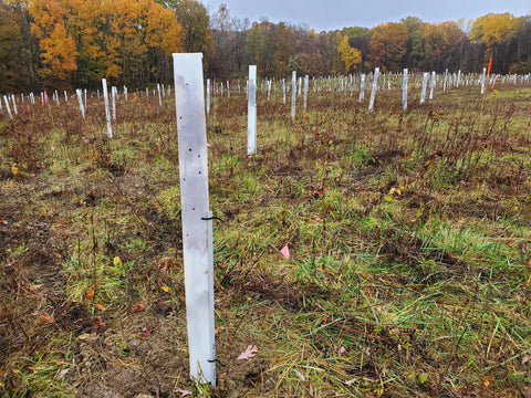 Miracle Tree Tube UV-stabilized material ensures long outdoor life.