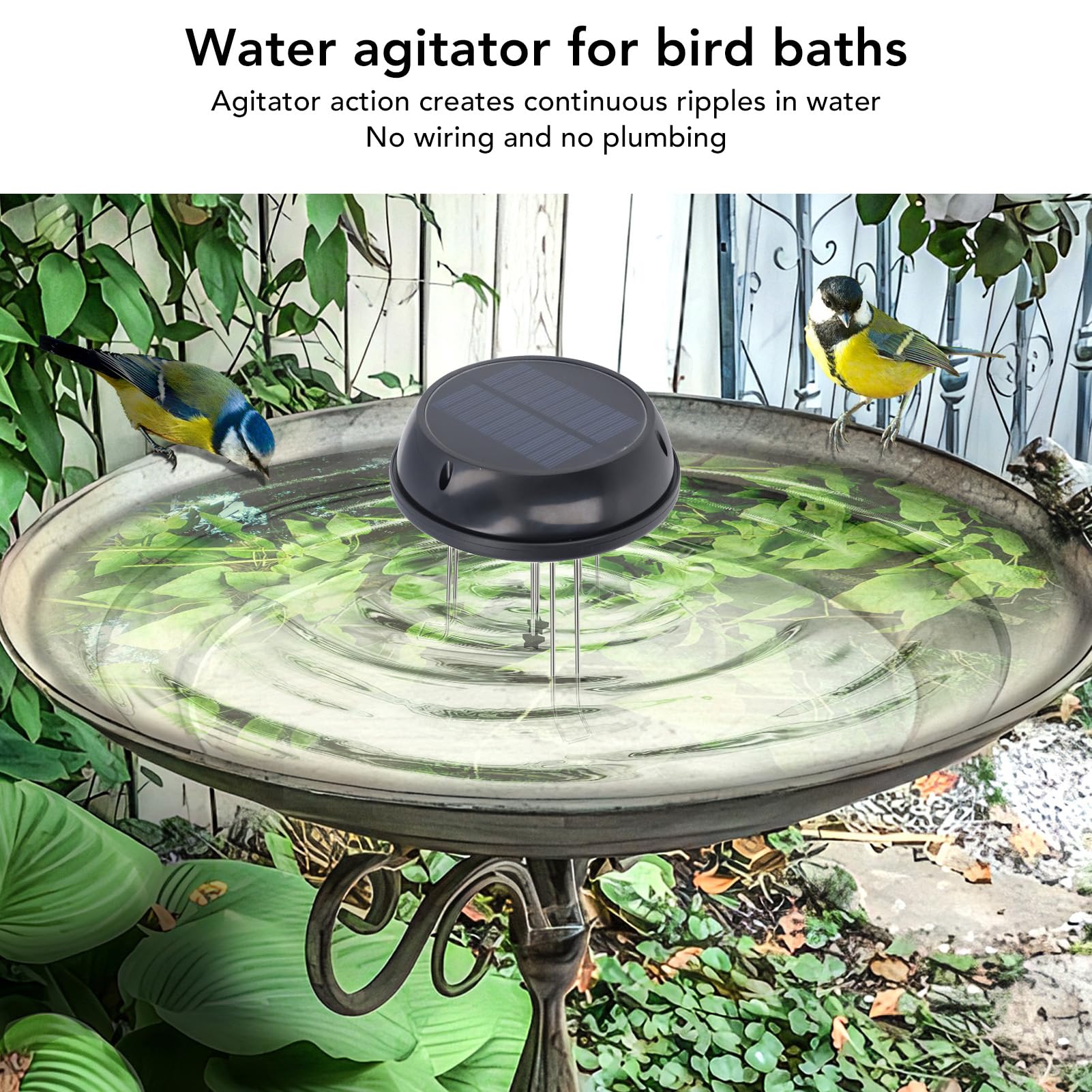 Miriam Song oxygenation water explains how gentle agitation supports fresher water.