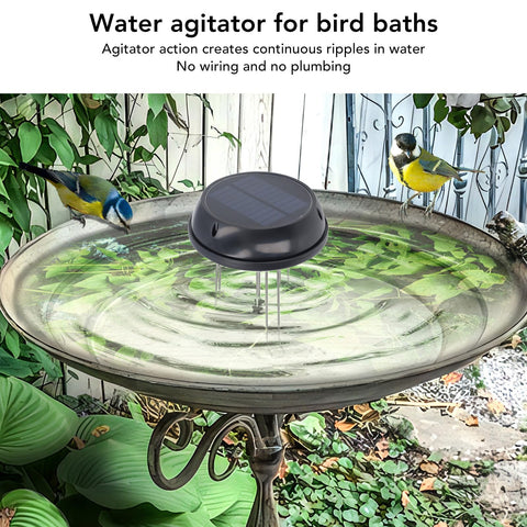 Miriam Song oxygenation water explains how gentle agitation supports fresher water.