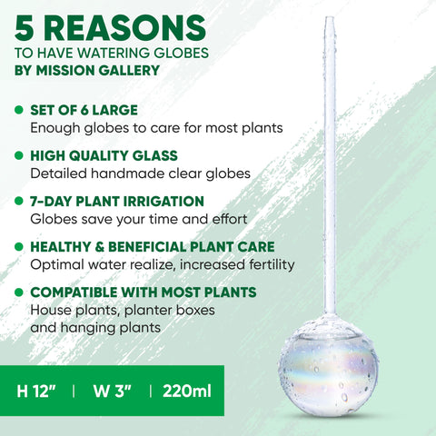 Mission Gallery globes installed at 75–85 degrees demonstrating proper setup
