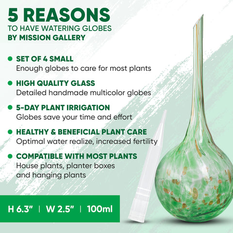 Mission Gallery ideal for hanging plants and shelves