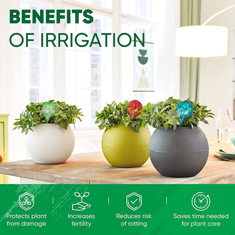 Mission Gallery indoor-outdoor plant watering bulbs support healthier roots