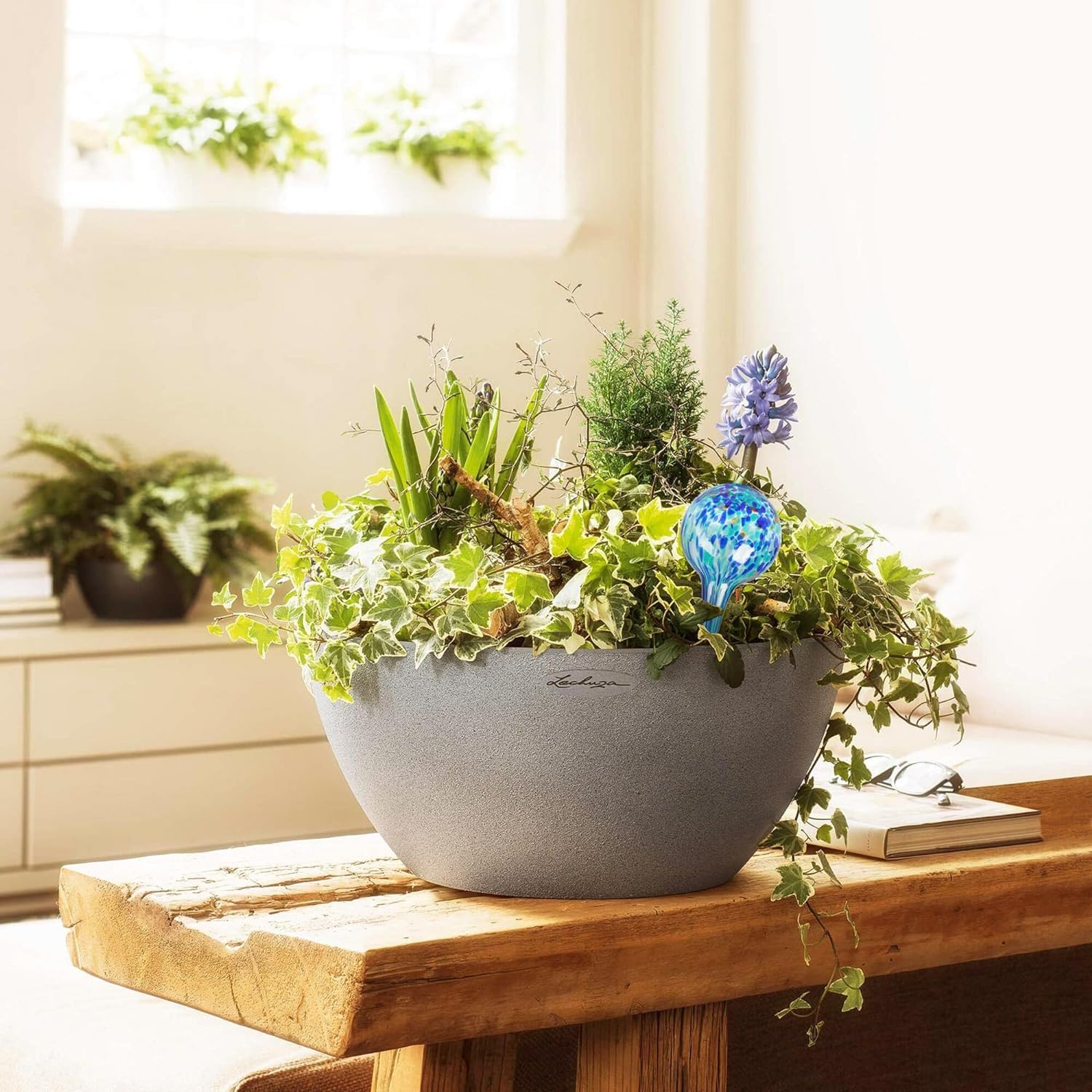 Mission Gallery self-watering globes glass bulbs with clear water reservoir