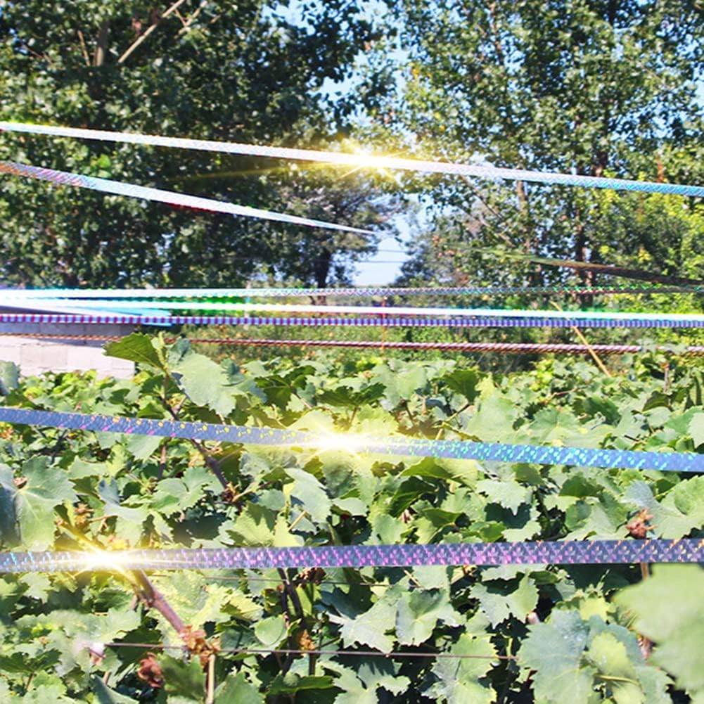 0.9-inch width MISSYOUNG Ribbon highlighted for garden edge use.