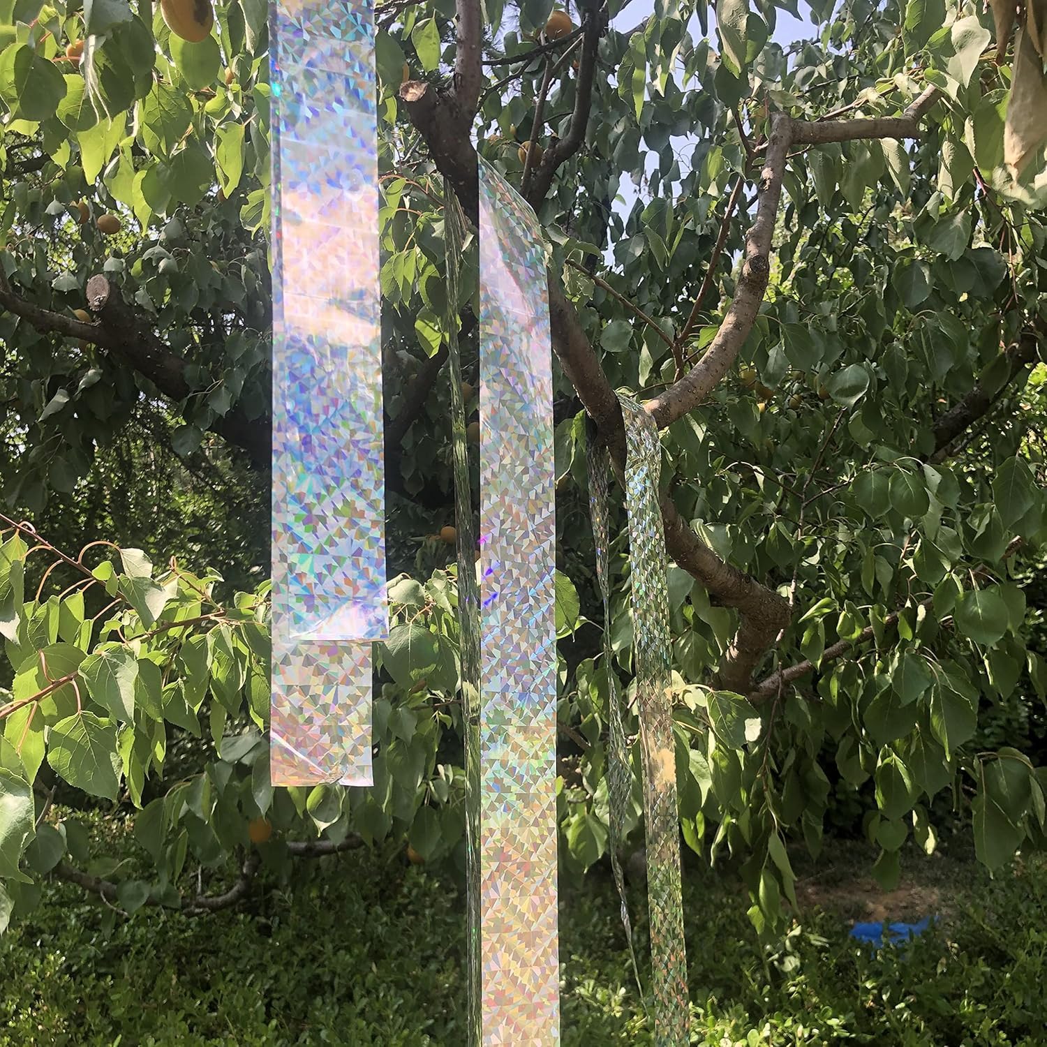 Ribbon secured to a window frame demonstrating flexible placement outdoors.