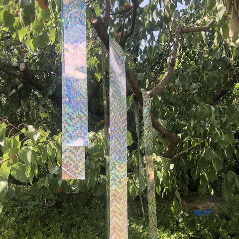 Ribbon secured to a window frame demonstrating flexible placement outdoors.