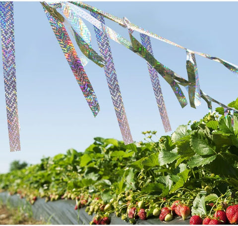 Weather-resistant MISSYOUNG ribbon withstands rain and sun for durability.