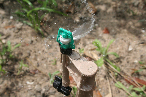 Mister Landscaper MLM-15 greenhouse irrigation sprinkler enhances plant hydration.