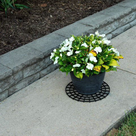 MISTIC COOL 12-inch trivet fits most pots for stable placement outdoors.
