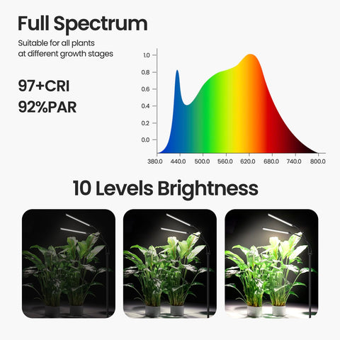 MistyJungle 144 LEDs deliver full-spectrum light for year-round plant vitality.