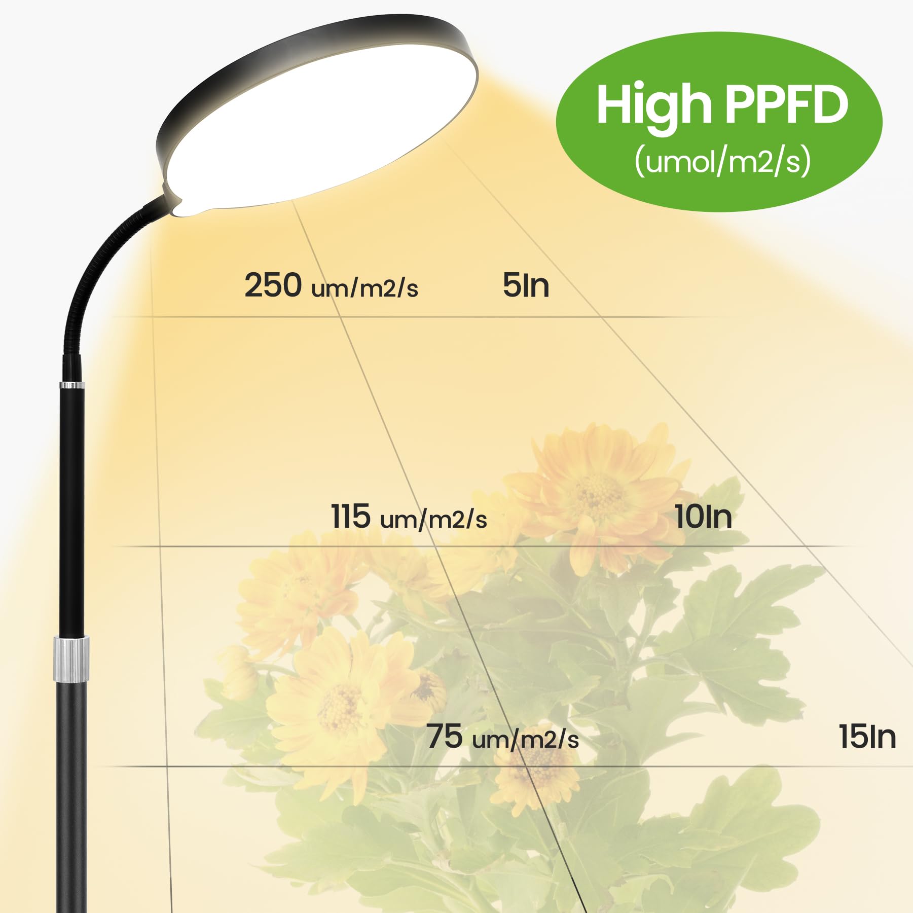 MistyJungle adjustable height stand supports tall and short plants with ease.