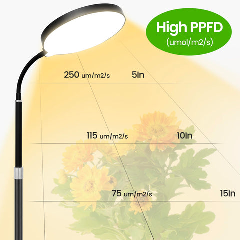 MistyJungle adjustable height stand supports tall and short plants with ease.