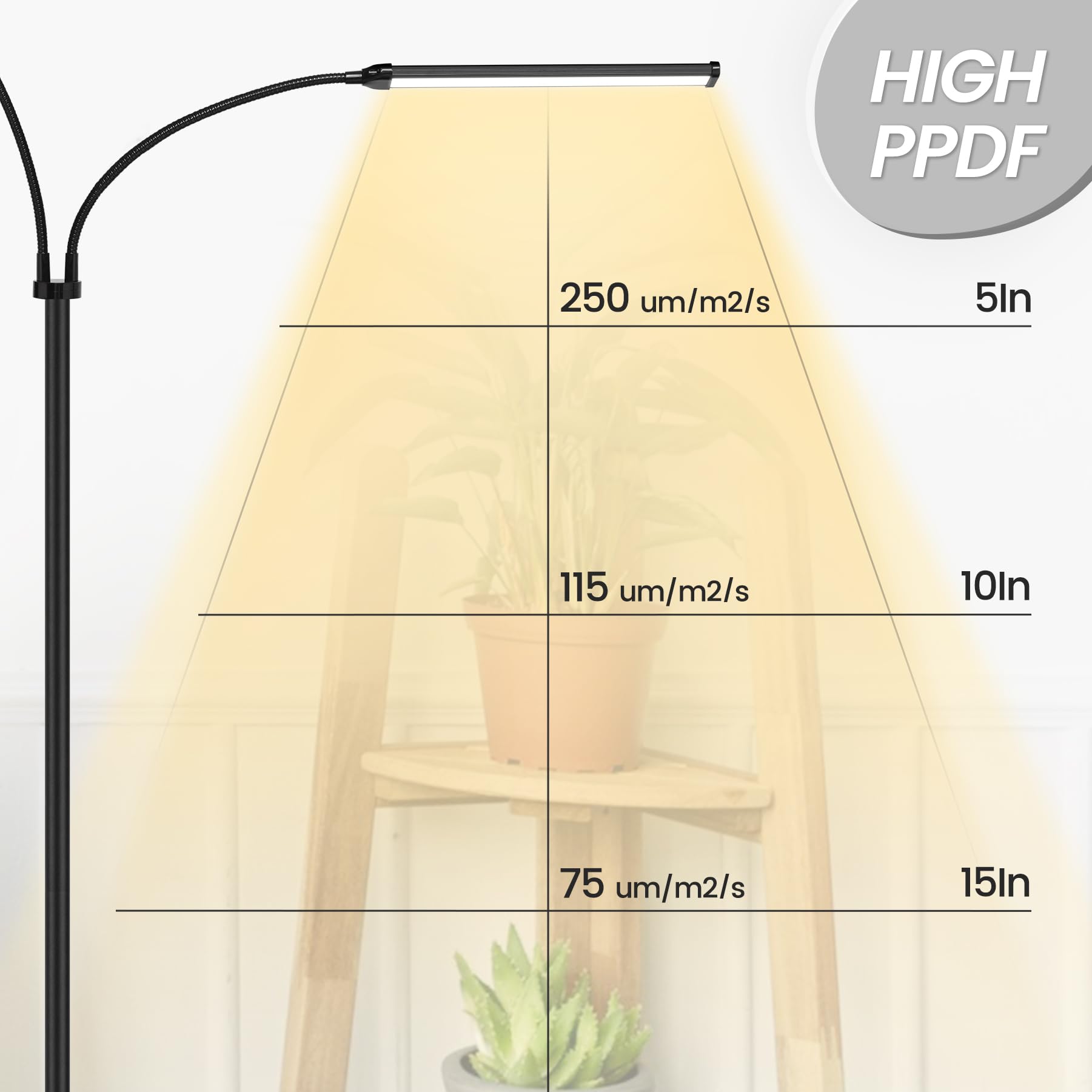 MistyJungle auto timer enables daily on/off without manual care.