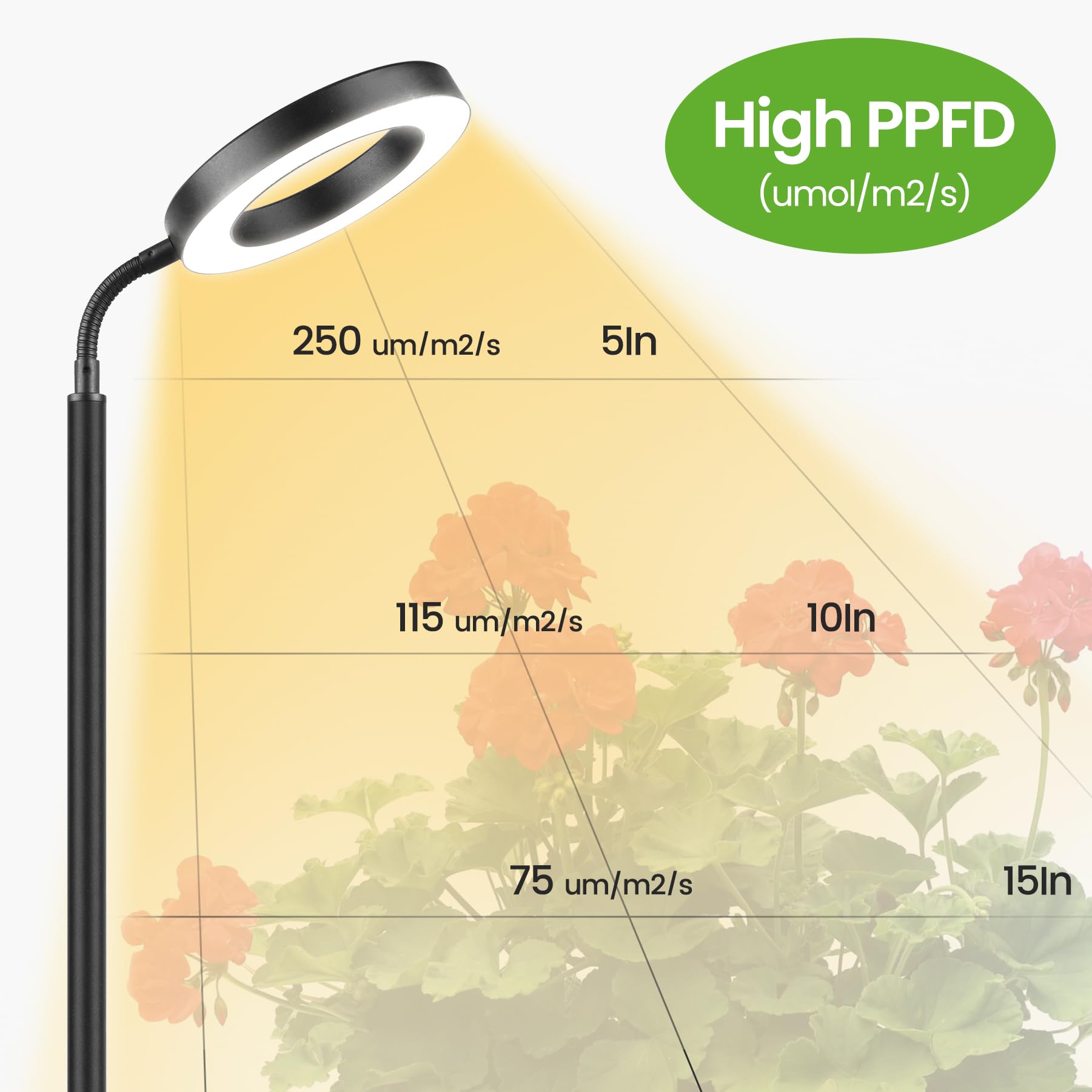 MistyJungle 10-level dimming lets you fine-tune brightness for different stages.