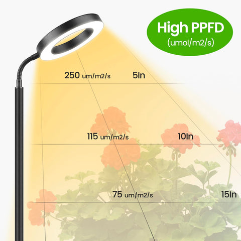 MistyJungle 10-level dimming lets you fine-tune brightness for different stages.