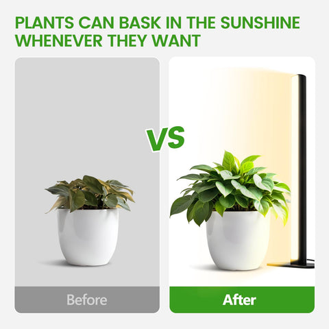 MistyJungle grow light floor stand for versatile installation