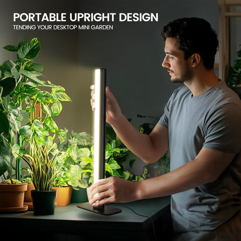 MistyJungle grow light seed starting setup supports early growth