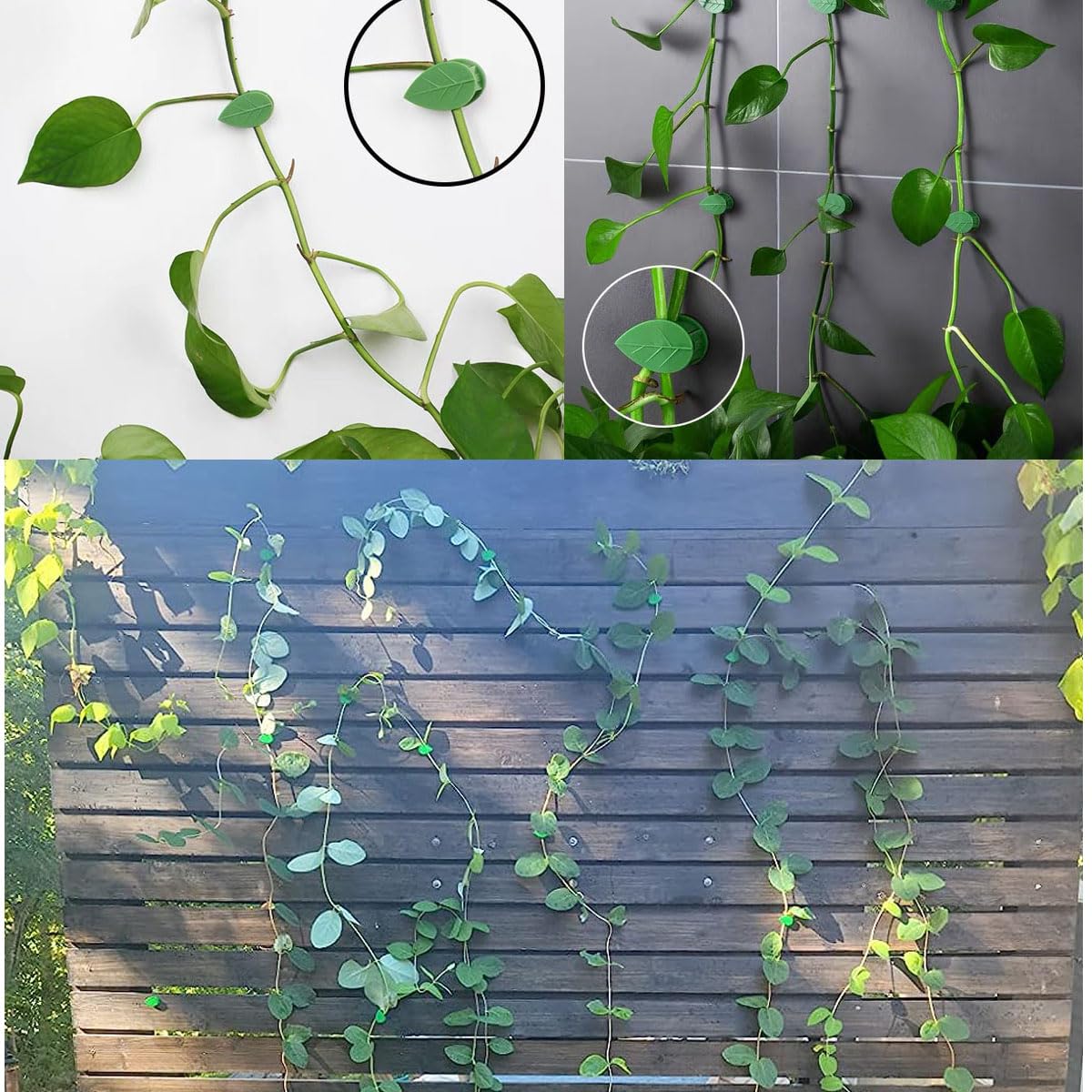 MITAOFAIRY acrylic stickers provide strong adhesion for wall mounting.