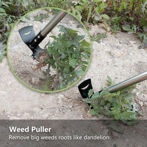 Mitclear weed puller loosens soil and prepares beds for seeding