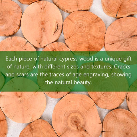 MITIME six-pack magnetic wood holders offer versatile wall decor.