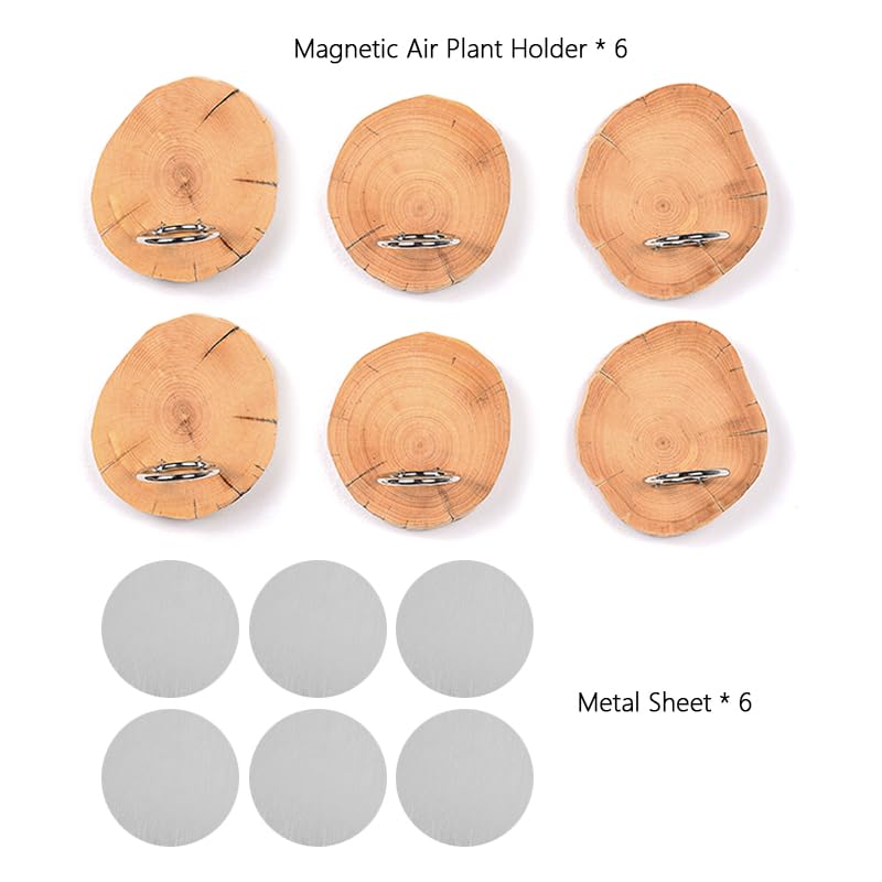 MITIME refrigerator-friendly plant display blends utility and nature.