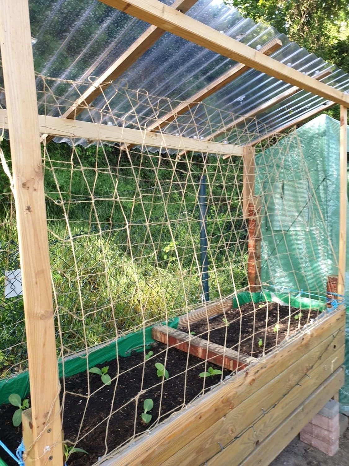 Miuezuth Jute Netting helps crops climb vertically and harvest easily from both sides.