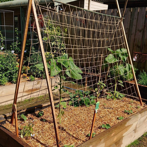 Miuezuth jute trellis netting is biodegradable, eco-friendly garden solution.