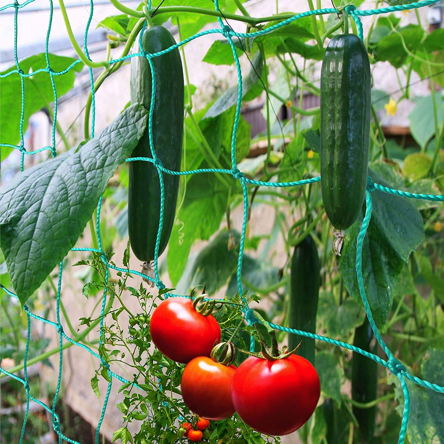 Miuezuth trellis netting with 4x4 inch mesh supports climbing plants like tomatoes and beans.