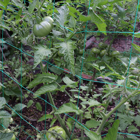 Easy-cut Miuezuth trellis netting tailored to fit garden spaces with scissors.