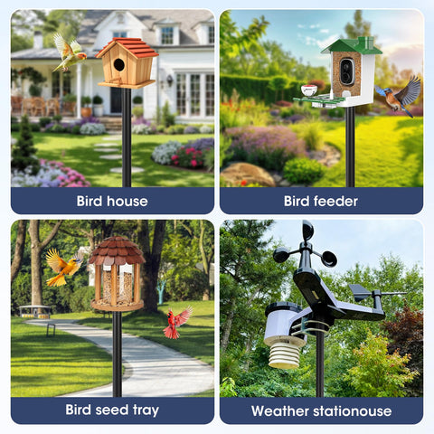 MIUVIBENI gift-ready setup brings nature closer for families and bird lovers