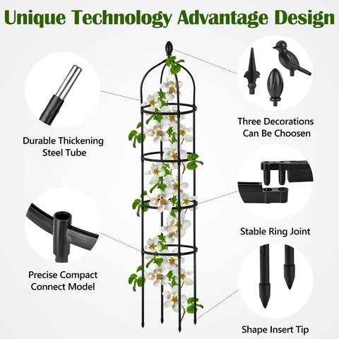 Miuwauer adjustable rings on the trellis aid plant support.