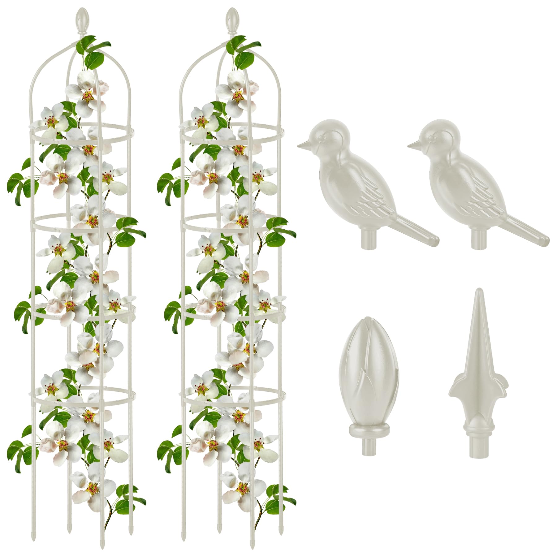 Miuwauer obelisk trellis 6ft supports roses and climbers for upright growth.