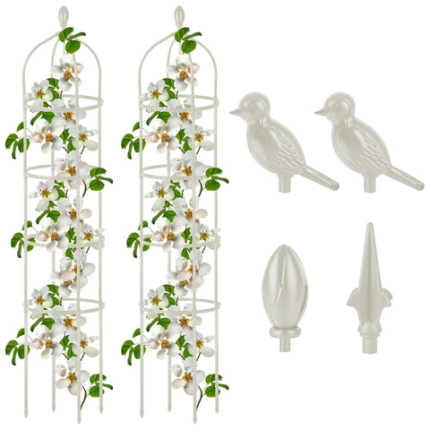 Miuwauer obelisk trellis 6ft supports roses and climbers for upright growth.